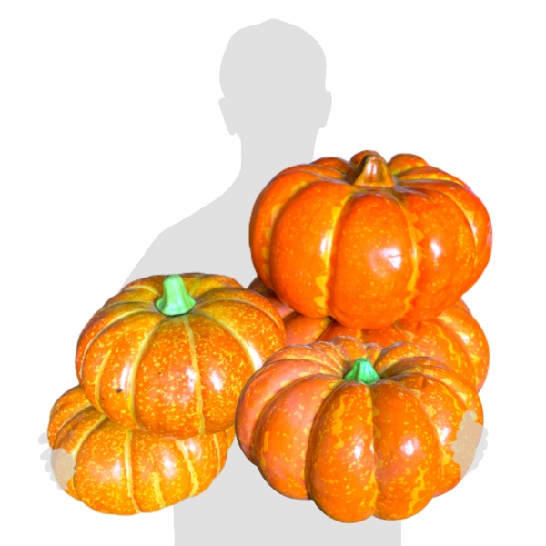 Pumpkins (Set of 5) ( Halloween )
