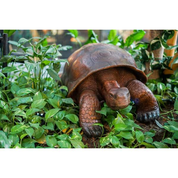 Popular Themes Popular Themes