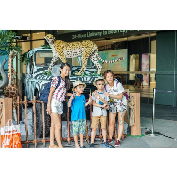 Cheetah ( Animal , Wildlife , Safari , African Large Cats )