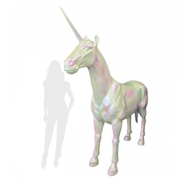 Festivities Festivities