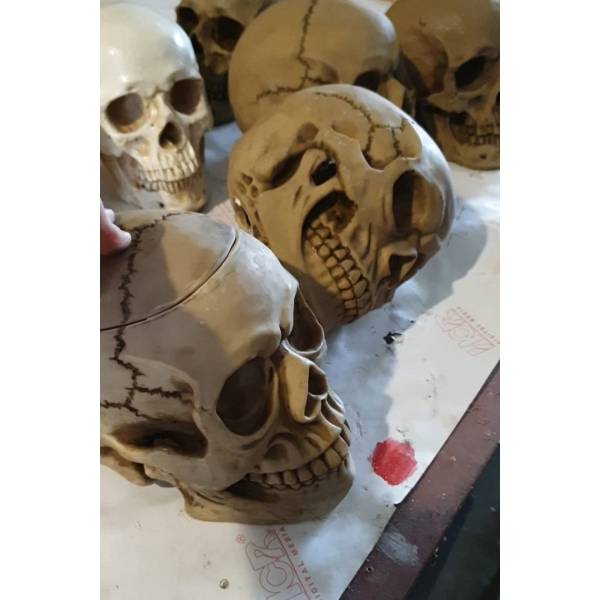 Skull ( Halloween / horror / Scary )