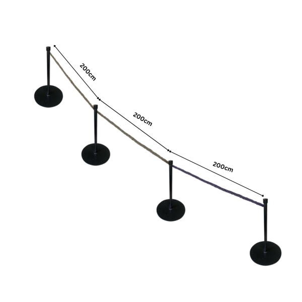 Festivities Festivities