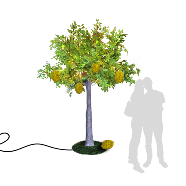 Popular Themes Popular Themes