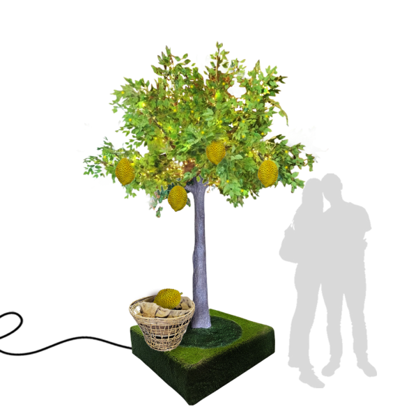 Popular Themes Popular Themes