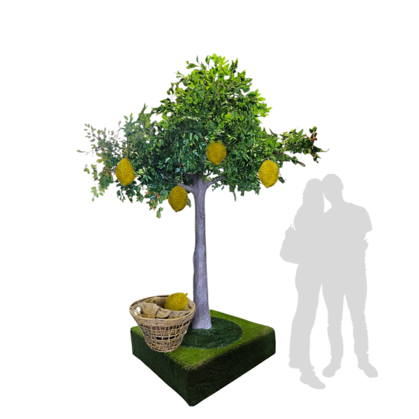 Popular Themes Popular Themes