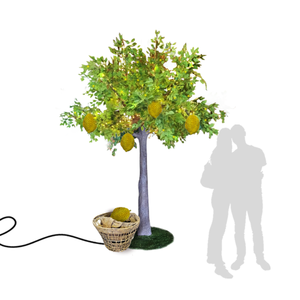 Popular Themes Popular Themes