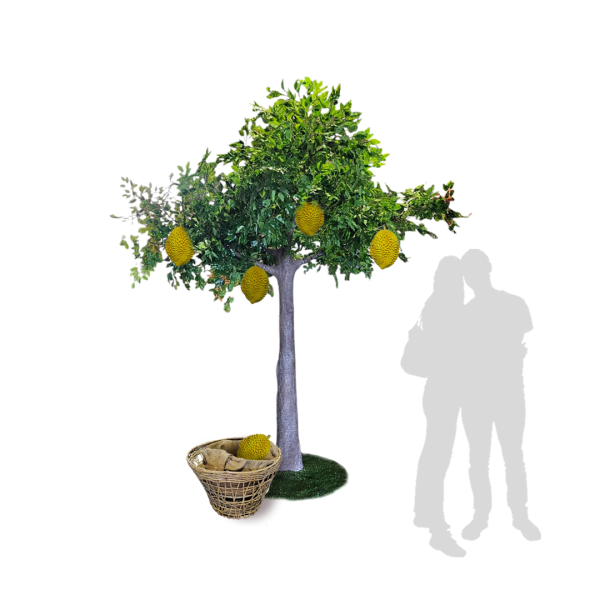 Popular Themes Popular Themes