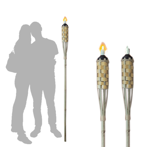 Popular Themes Popular Themes