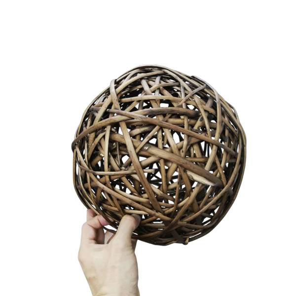 Thematic Backdrops & Photo Ops