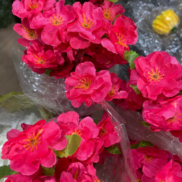 Festivities Festivities