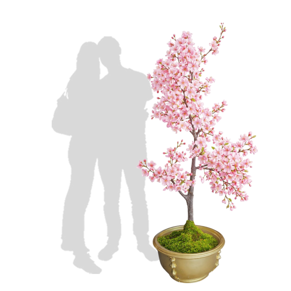 Festivities Festivities