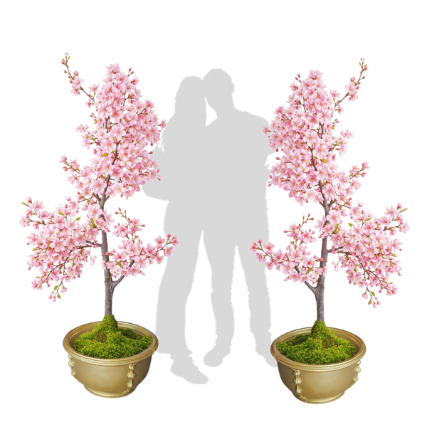 Festivities Festivities