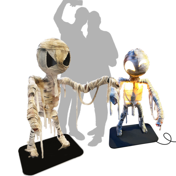 Thematic Backdrops & Photo Ops