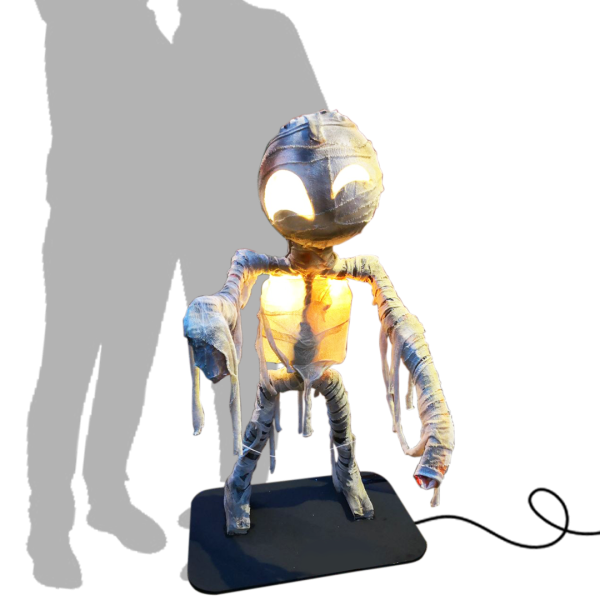 Thematic Backdrops & Photo Ops