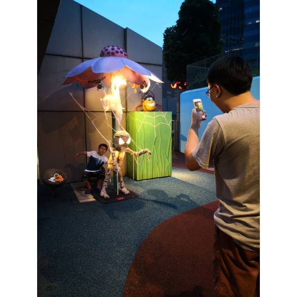 Thematic Backdrops & Photo Ops