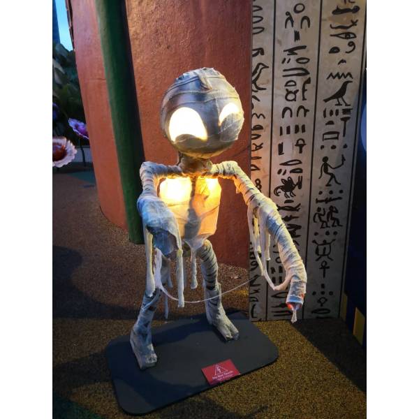 Thematic Backdrops & Photo Ops