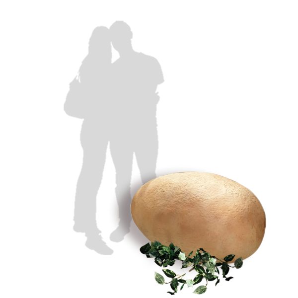 Dino Full Whole / Hatching Eggs with Baby Dinosaur Options / Set ( Beige , Green Dino , Velociraptor , Trex, Jurassic , Prehistoric Age / Giant Egg )