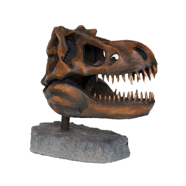 Trex skull replica (Dinosaur ,  Jurassic , Prehistoric Age )