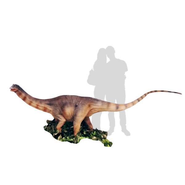 Diplodocus Statue ( Jurassic Dinosaur , Prehistoric Age )