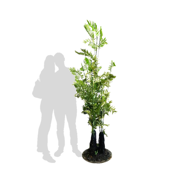 Popular Themes Popular Themes