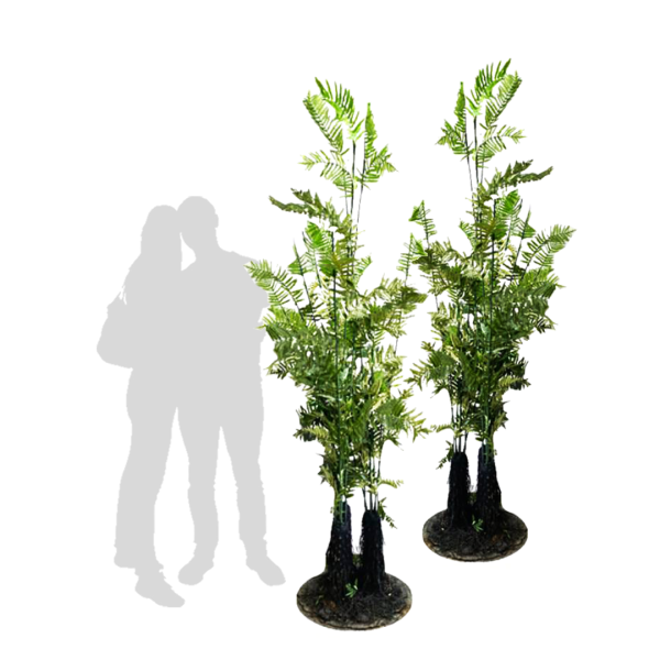 Popular Themes Popular Themes