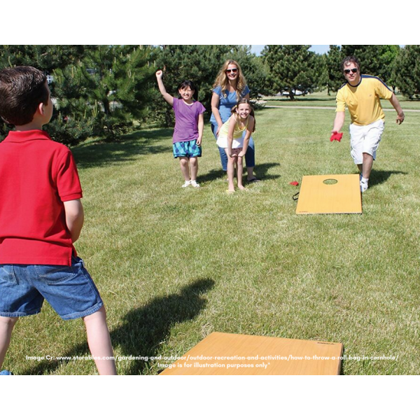 Giant Bean Bag Toss ( Huge, Game, Large, Sports, Party, Interactive, Kids, Children )