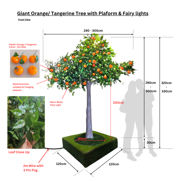 Realistic Trees & Plants