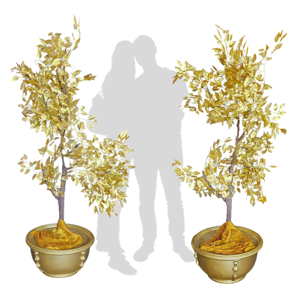 Festivities Festivities