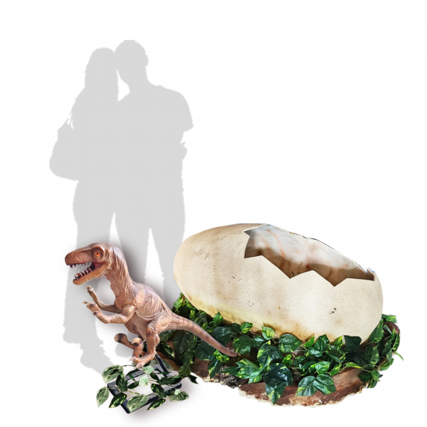 Hatching Dino Eggs with Baby Dinosaur Options / Set ( Beige , Green Dino , Velociraptor , Trex, Jurassic , Prehistoric Age / Giant Egg )