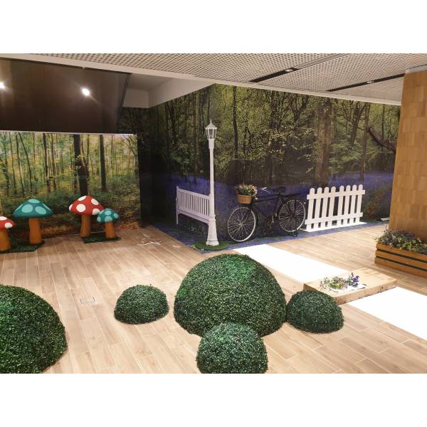 Festivities Festivities