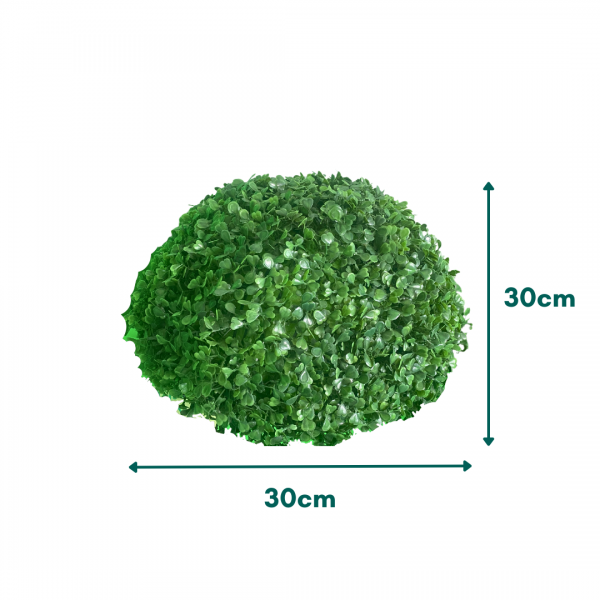 Festivities Festivities