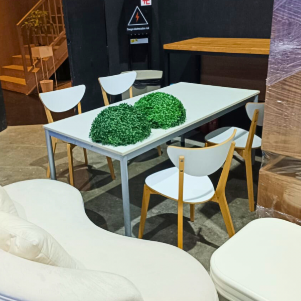 Festivities Festivities