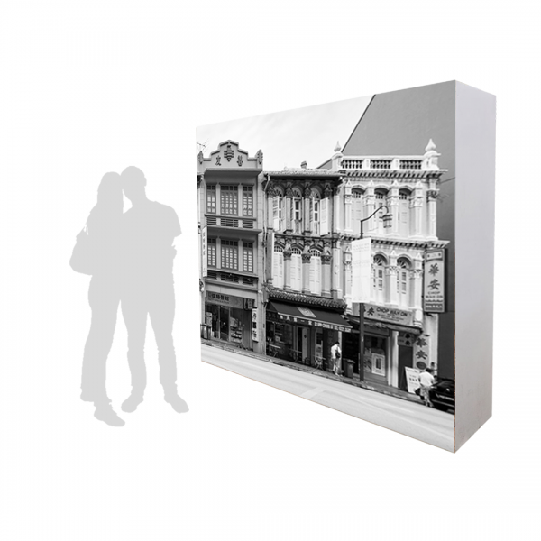 Thematic Backdrops & Photo Ops