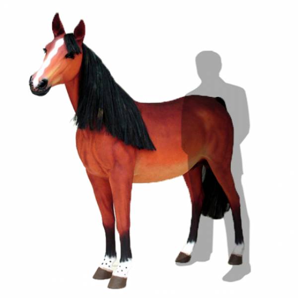 Brown Horse ( Domestic Animal , Wildlife , Cowboy , Farm , Wild West )