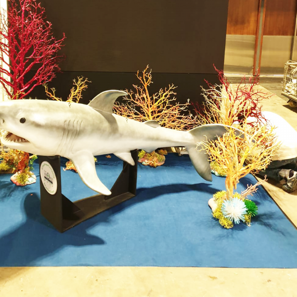 Festivities Festivities