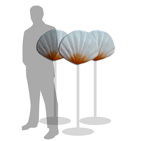 White Seashells (Set of 3)