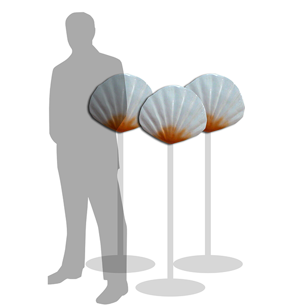 White Seashells (Set of 3)