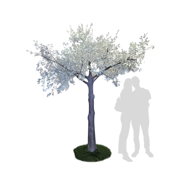 Realistic Trees & Plants