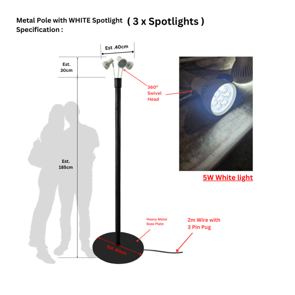 Lamp Posts & Lightings