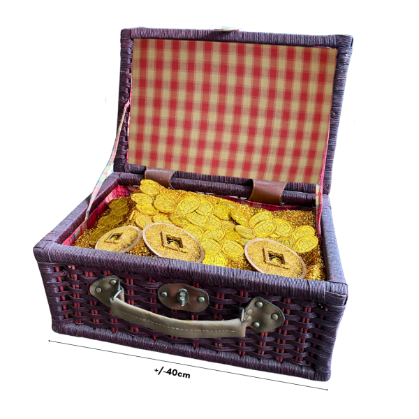 Suitcase of Gold Coins ( pirate treasure )