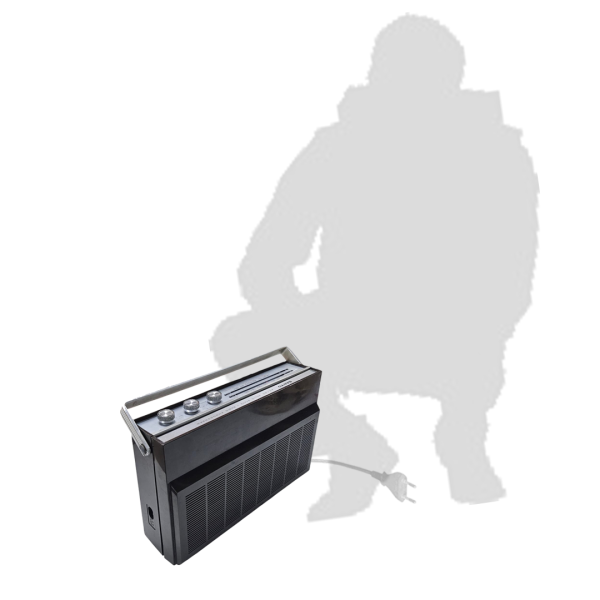 Festivities Festivities