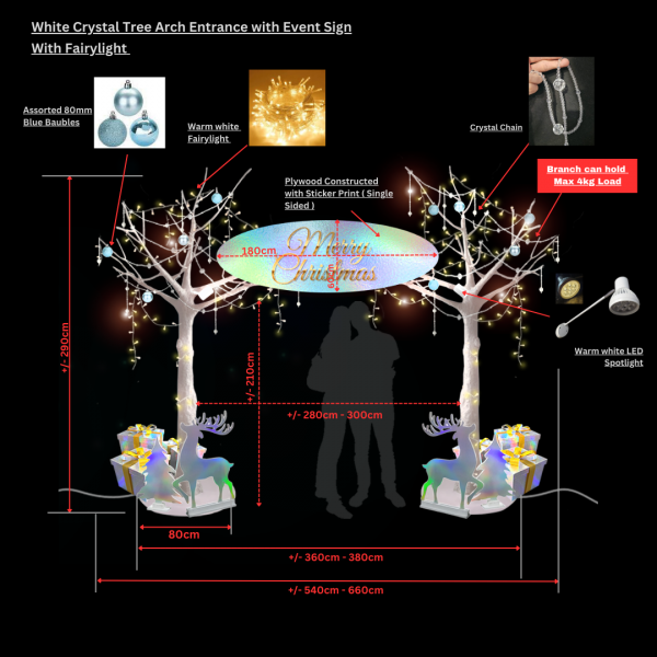 Thematic Backdrops & Photo Ops