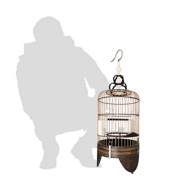 Traditional Christmas