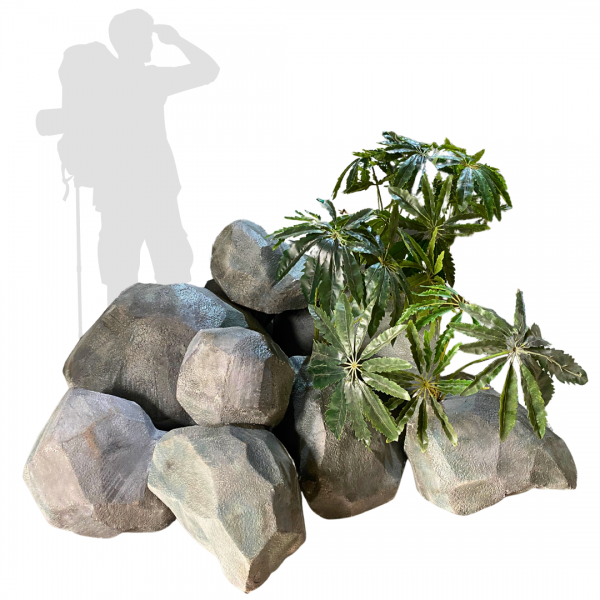 Popular Themes Popular Themes