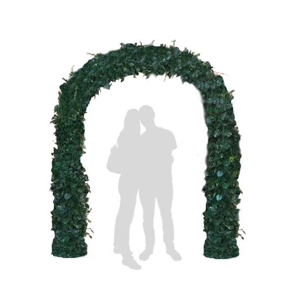 Festivities Festivities