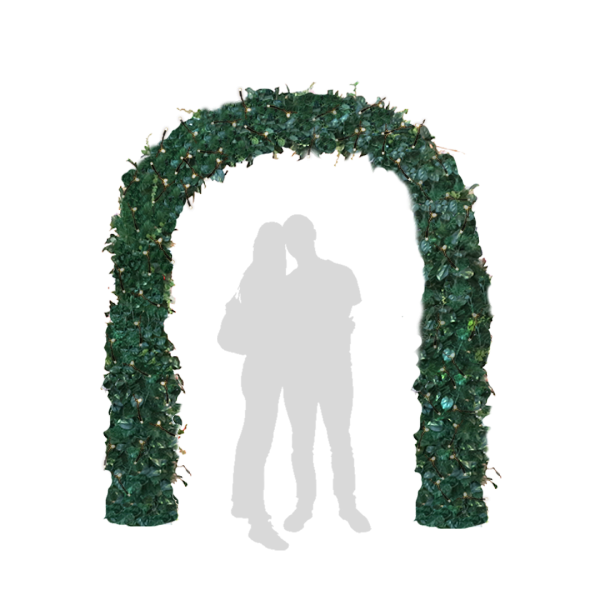 Festivities Festivities