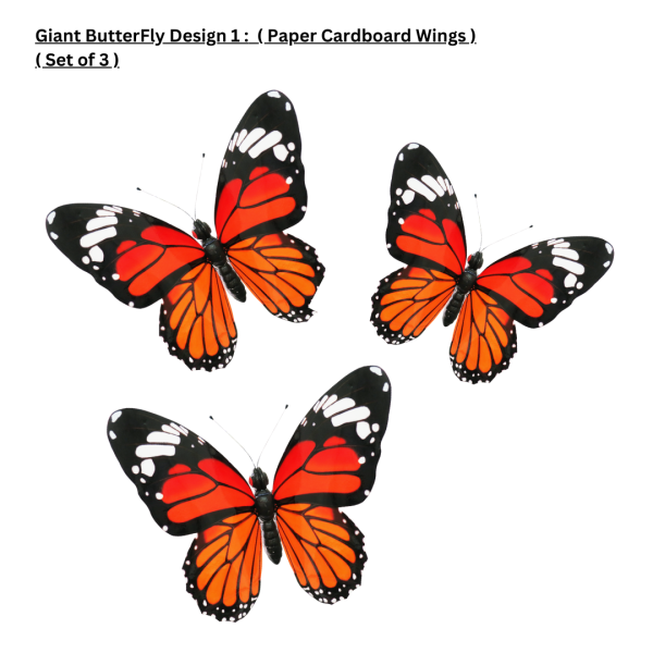 Thematic Backdrops & Photo Ops