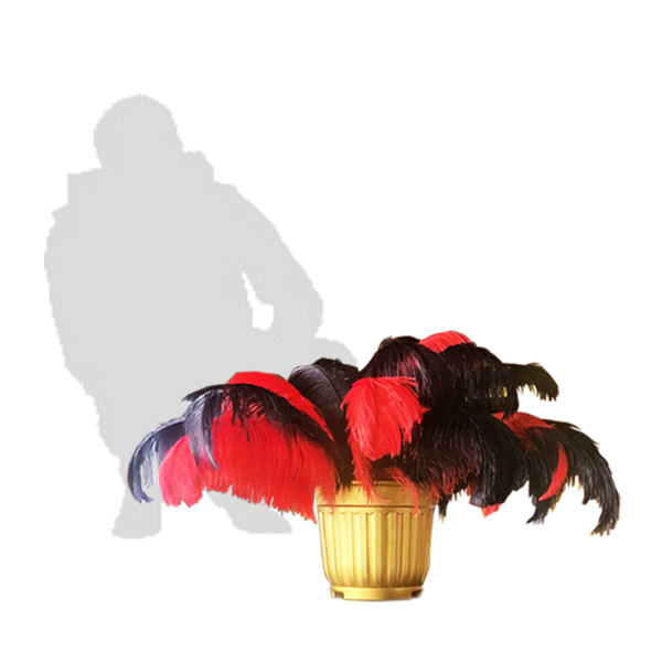 Popular Themes Popular Themes