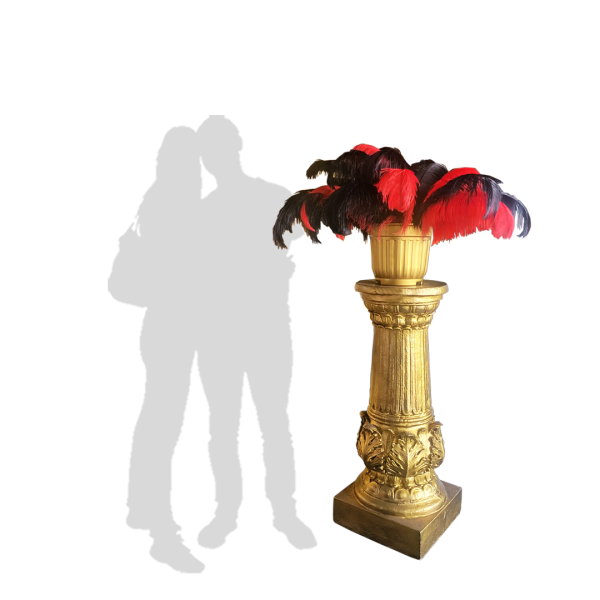 Popular Themes Popular Themes