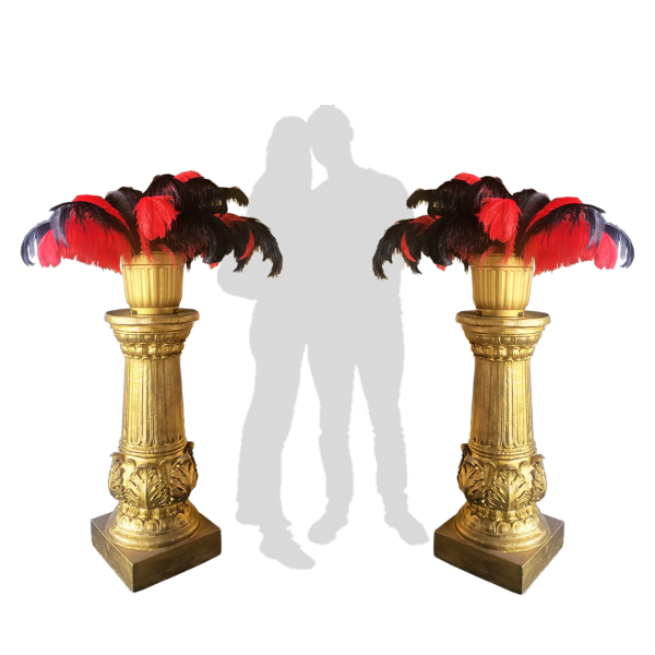 Popular Themes Popular Themes